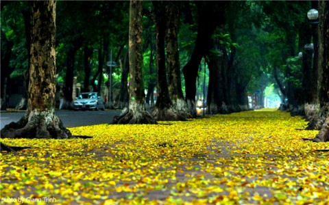 Mùa thu trong thơ Trần Chấn Uy